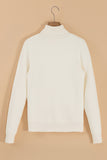 Turtleneck Long Sleeve Sweater