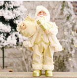 Santa  Claus Gnome