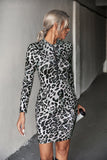 Leopard Half-Zip Mini Dress